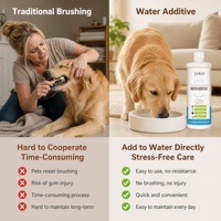 Solution de soins dentaires écologiques pour animaux de compagnie Mito Luxury, additif pour l'eau pour chiens et chats, élimine la mauvaise haleine, combat le tartre et la plaque dentaire, 473 ml