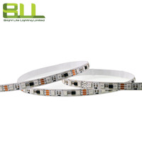 Bande lumineuse LED RGB 5050 WS2811 Pixel 12V 60 LED, colorée, intelligente et magique