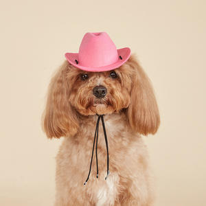 Chapeau de cowboy <span class=keywords><strong>pour</strong></span> animaux de compagnie, accessoires de costume, costumes d'Halloween <span class=keywords><strong>pour</strong></span> petits chiens, chapeau de cowboy <span class=keywords><strong>pour</strong></span> fête de <span class=keywords><strong>chien</strong></span>, accessoires de cosplay western - Product Image 1