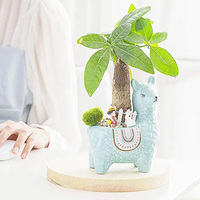 Nouveau Pot de fleur en céramique d'alpaga mignon pour pots de jardinière d'animaux de cactus succulents pour la maison et le jardin pour collègues et femmes