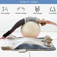 Yeni Healthpal Oem Odm geri sedye 4 germe programları tam vücut yoğurma geri masaj yatak Mat Pad kore'den