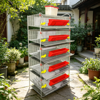 Cage à cailles de type H à 5 niveaux, très vendue, avec abreuvoir et mangeoire automatiques pour l'élevage de volailles