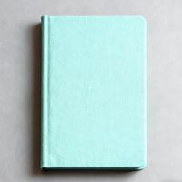 Vente flash : Journal en lin cousu à la main, format A5, couverture rigide - Planificateur de vie personnalisé et carnet de gratitude, cadeau pour femmes et hommes