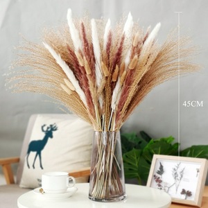 หญ้าแพมปาสอบแห้งขนปุยสีขาวขนาดเล็กดอกไม้และต้นไม้ตกแต่งตามธรรมชาติขนาดเล็ก - Product Image 1