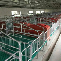 Enclos de maternité pour truies, enclos de gestation et d'accouchement pour l'élevage porcin