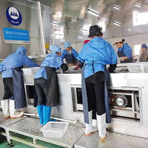 Sistem Pembekuan Fluidized Bed IQF Industri, <span class=keywords><strong>Freezer</strong></span> Terowongan Cepat untuk Buah dan Sayuran - Product Image 2