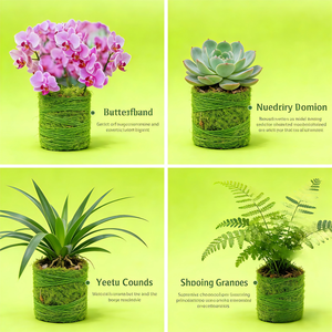 Sable vert de mousse sèche personnalisable pour la croissance des orchidées/dendrobiums - Maintien de l'humidité pendant 10 ans - Style simple - Product Image 2