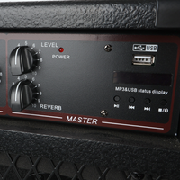 Amplificateur de guitare combo BS-3000 250W, amplificateur de basse, 18 pouces, égaliseur 3 bandes, studio d'enregistrement, salle d'entraînement, petite cour