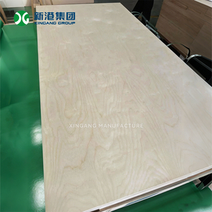 Compensato di Betulla Marca Xingang, Pressato a Caldo Due Volte, Superficie Levigata per Mercati Globali - Product Image 4