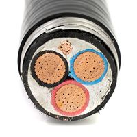 Câble électrique CSA en cuivre TECK90 AC90 BX, fil de bâtiment, isolation XLPE, différentes tailles 14/3 12/3 10/3 8/3 6/3 1/0 AWG