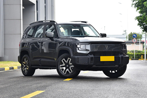 Cho G318 màu xanh đậm: một con thú off-road thực sự với thông số kỹ thuật hàng đầu - Product Image 6