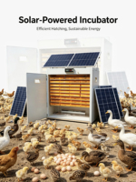 Incubateur d'œufs solaire entièrement automatique avec taux d'éclosion élevé, machine d'incubation avicole efficace pour poulets, canards, oies, cailles HJ-SI3168