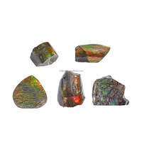 Grand spécimen d'ammolite, coquille fossile organique naturelle, pierre minérale décorative