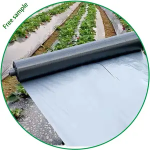 Custom PE Sliver Black Farm Planting 20 Micron Greenhouse Vegetable Mulch Film Plastic