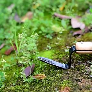 ชุดเครื่องมือถอนวัชพืช  ที่ถอนหญ้า  สำหรับปลูกต้นกล้าทางการเกษตร - Product Image 2