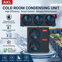 Compleet koudopslagsysteem met DC-inverter en warmgasontdooiing voor fruit, groenten, vlees en farmaceutische producten in koelcellen.
