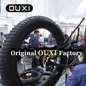 Vélo électrique pliable OUXI V9 de 20 pouces, en stock aux Pays-Bas (UE), avec moteur 48V 15AH 250W, vitesse unique - Product Image 6