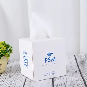 Premium Boxed Facial Tissue Customised Facial Tissue Boxes Fast Shipping OEM Factory With 13 Years Customised Experience