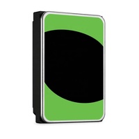 HDD ST24000NT002 2TB 4TB 6TB 8TB 10TB 12TB 14TB 16TB 18TB 20TB 22TB 24TB SATA 256MB Hard Disk Interni per Server Enterprise e NAS