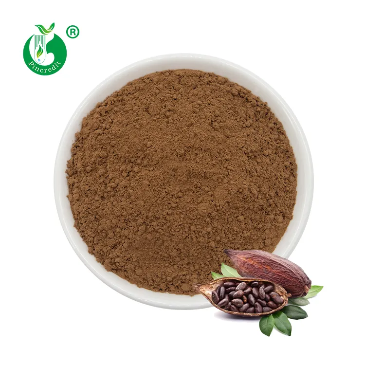 Free Sample Wholesale Bulk Price 25kg Natural Pure Natural Coco Powder Cocoa Powder