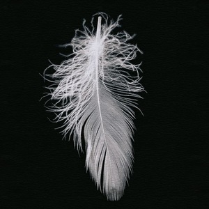 Edredón de plumas de ganso natural, juego de almohadas, colchón de calidad para dormir, adornos de plumas de ganso, ropa de cama, plumas para dormir - Product Image 3