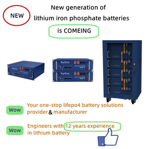 Batterie au lithium-ion 10 kWh 12 kW 15 kWh du fabricant, batteries 48 V 50 Ah 100 Ah 200 Ah 250 Ah, boîtier de batterie LiFePO4 pour kit solaire - Product Image 5