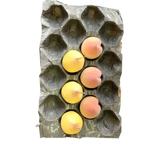 Disposable Fruit packaging Kraft paper multi layer Tray Liners For Tomato