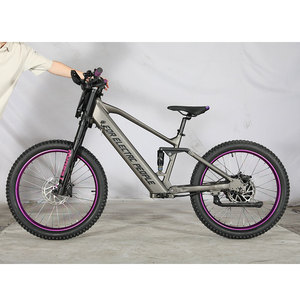 Bicicleta Eléctrica Personalizada de Carreras de 24 Pulgadas, 48V, 15Ah, 1000W, Motor Potente, 60Km/h, para Niños, Adolescentes y Jóvenes - Product Image 4