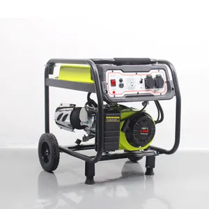 ISO9001 Generator Uns Stecker Kleine 2000W 2Kw 6,5 Hp 110 Volt 230 volt Gas Generator