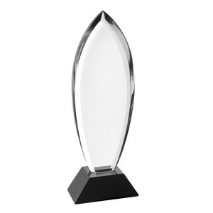 Trofeo di cristallo roma H = 256X17mm con targa in legno stampata UV medaglia di vetro per il premio per l'assicurazione regali di benvenuto omaggi della fiera - Product Image 1