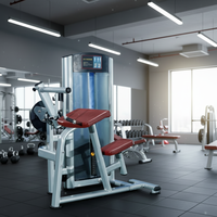 ASM-L1055 Vente chaude Équipement d'entraînement biceps/triceps Machine commerciale d'exercice des bras Biceps/Triceps