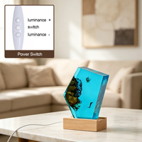 Lampe de bureau artistique en résine époxy et bois, mini, avec scène de plongée tortue, filaire USB, à intensité variable, pour les amateurs de plongée, cadeau souvenir, vente en gros
