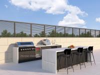 Cuisine de barbecue extérieure modulaire, configuration de grillades en plein air, unité de cuisson extérieure résistante aux intempéries pour jardin résidentiel