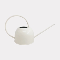 Arrosoir en métal durable et écologique de 44 oz (1,3 litre) avec revêtement en poudre, personnalisable en gros, pour plantes d'intérieur, avec bec long