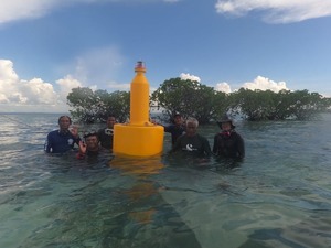 Phao Đánh Dấu Điều Hướng 800Mm Tùy Chỉnh Phao Nổi Điều Hướng An Toàn Hàng Hải Đèn Năng Lượng Mặt Trời Cho Thuyền Buồm - Product Image 3