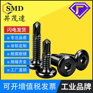 Vis autotaraudeuse Shomo Tatsu M5.5 en acier inoxydable à tête plate et six pans creux, à bord biseauté, pour équipement de communication - Product Image 5