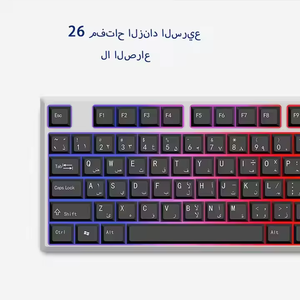 Ergonomic Arabic tùy chỉnh Máy tính chơi Game bàn phím chuột Combo LED Backlit chơi game quang học thiết lập giao diện <span class=keywords><strong>USB</strong></span> cho máy tính để bàn máy tính - Product Image 2
