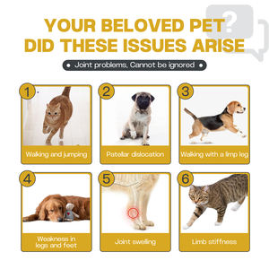 Private Label Joint Care Powder Supplement unterstützt den Knorpel und hilft beim Schutz des Knorpels und bei der Aufrechterhaltung der Gelenk gesundheit - Product Image 6