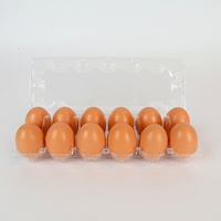 Bac à oeufs en plastique jetable PET Emballage blister recyclable Boîte à oeufs 10/20/30