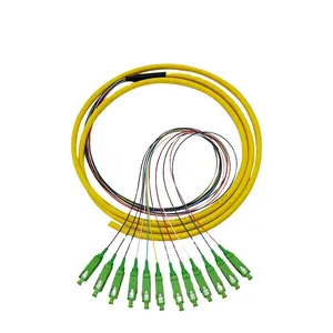 中国制造高品质12芯捆绑sc/apc光纤尾纤跳线