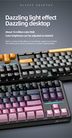 Wireless RGB Backlit Mechanical Keyboard USB/USB-C/2.4G Interface Waterproof Gasket-Mounted Side-Printed Keycaps Gaming Use No