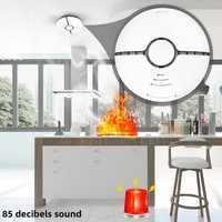 Detector de Humo Inteligente WiFi para el Hogar, Material PC, Diseño Graffiti, Control por Aplicación, Sensor de Seguridad Inalámbrico, Alarma de Concentración, Uso Universal