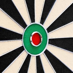 Cible de fléchettes haute performance Sleek 18 Dartboard Skipjack pour les fêtes - Product Image 3