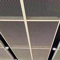 Plafond suspendu en aluminium, maille métallique expansée pour les systèmes de décoration intérieure des aéroports, des gares et des centres commerciaux