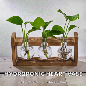 Vaso Idroponico KIKA Moderno ed Ecologico <span class=keywords><strong>in</strong></span> Vetro e <span class=keywords><strong>Legno</strong></span> Intagliato a Mano, Design Circolare, Porta Piante per Interni/Esterni, Decorazione <span class=keywords><strong>da</strong></span> Tavolo - Product Image 2