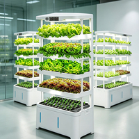 Système hydroponique intelligent pour la culture à domicile, équipement hydroponique, outil de plantation sans terre pour légumes et fleurs, LED