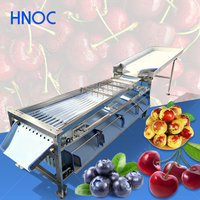 Automatische fruit sorteermachine voor appels, peren, kleine kiwi's, citrusvruchten, avocado's en aardappelen.