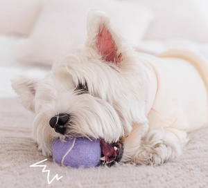 JOYPETペットサプライヤー環境にやさしいカスタムロゴ投げ犬の噛むおもちゃ卸売ゴムペットテニスボールインタラクティブ犬のおもちゃボール - Product Image 5