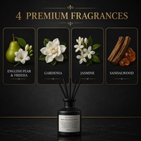 Diffuseur de parfum d'ambiance de luxe OEM 50 ml avec 4 senteurs premium pour l'ameublement de boutiques, marque privée