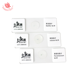 Slide protozoan 10 loại kính hiển vi sinh học rõ ràng euglena, giun đồng hồ, luân trùng, tảo, desmids - Product Image 6